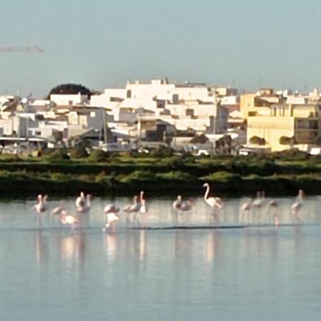 Casa Do Livramento Hotell Luz de Tavira Eksteriør bilde