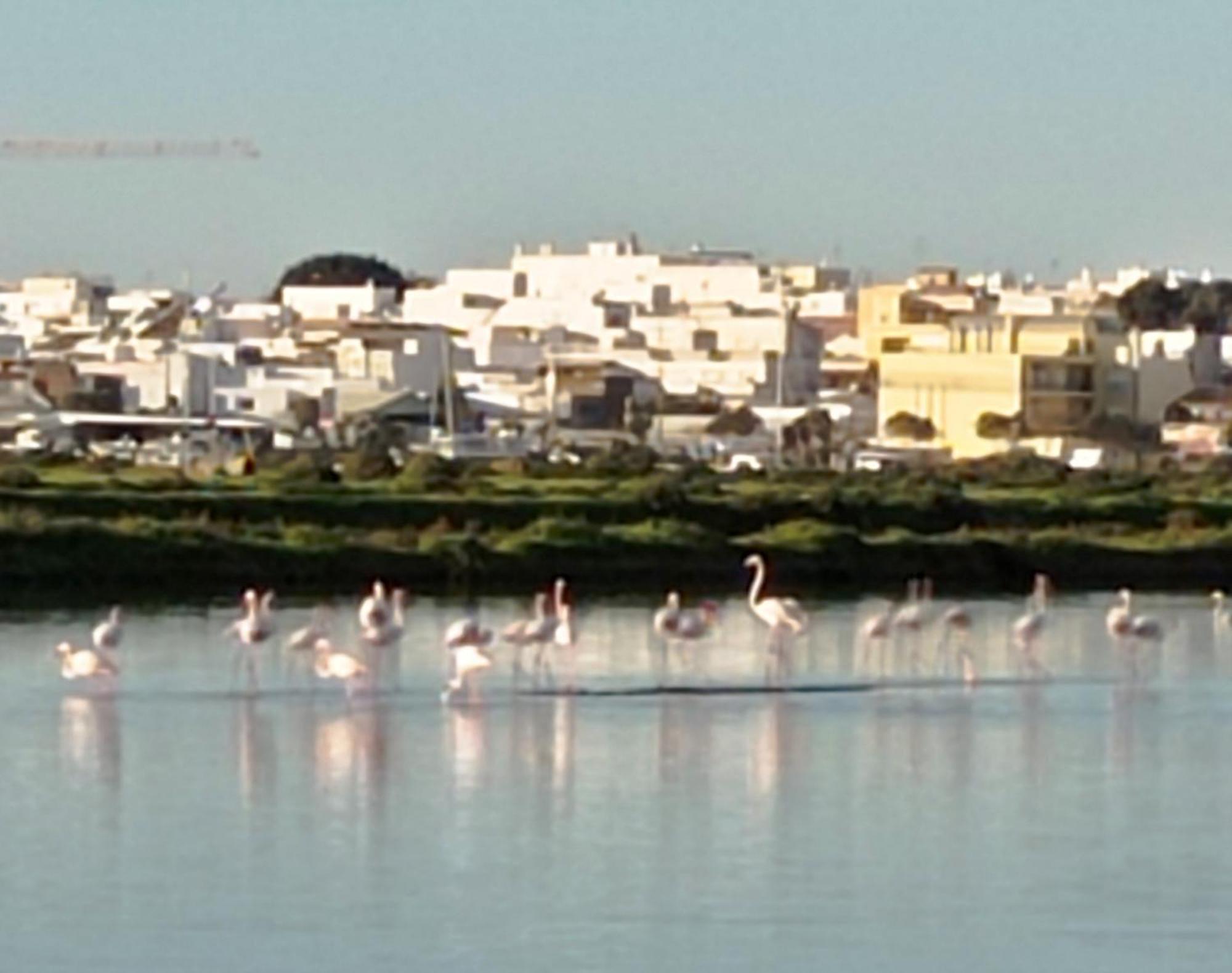 Casa Do Livramento Hotell Luz de Tavira Eksteriør bilde